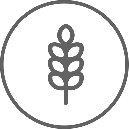 Gluten